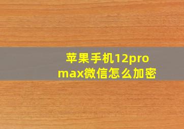 苹果手机12pro max微信怎么加密